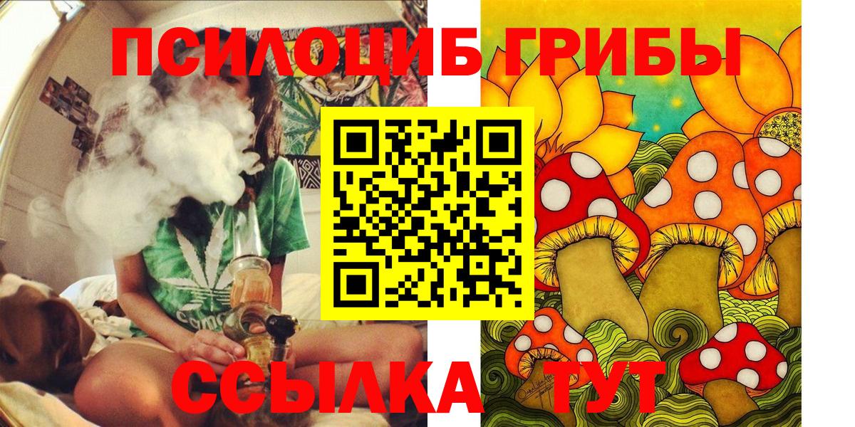 Галлюциногенные грибы Psilocybe Фрязино
