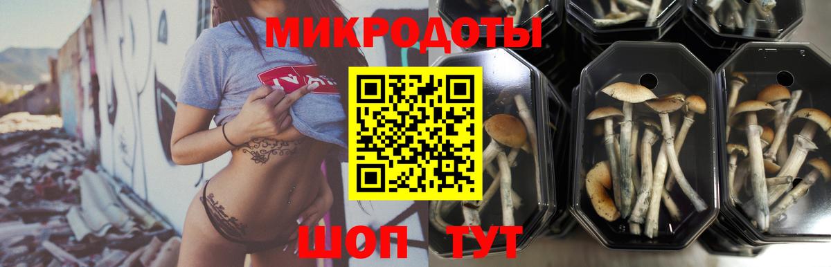 Псилоцибиновые грибы мухоморы  Галлюциногенные грибы ЛСД  Фрязино  Вход с VPN 